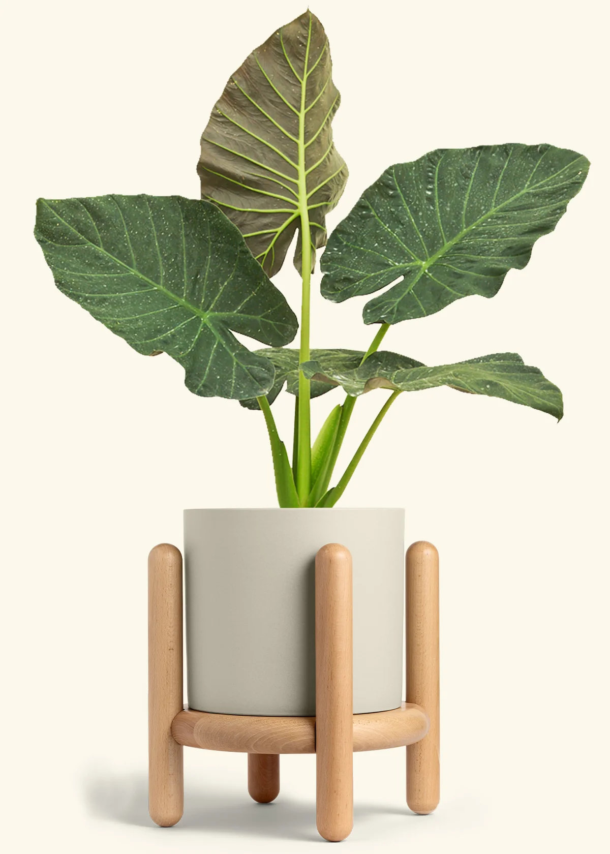 Product image 102