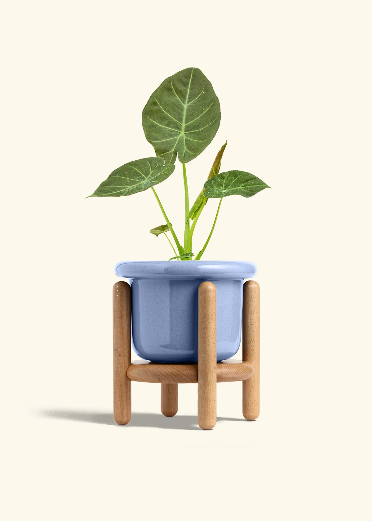 Product image 48