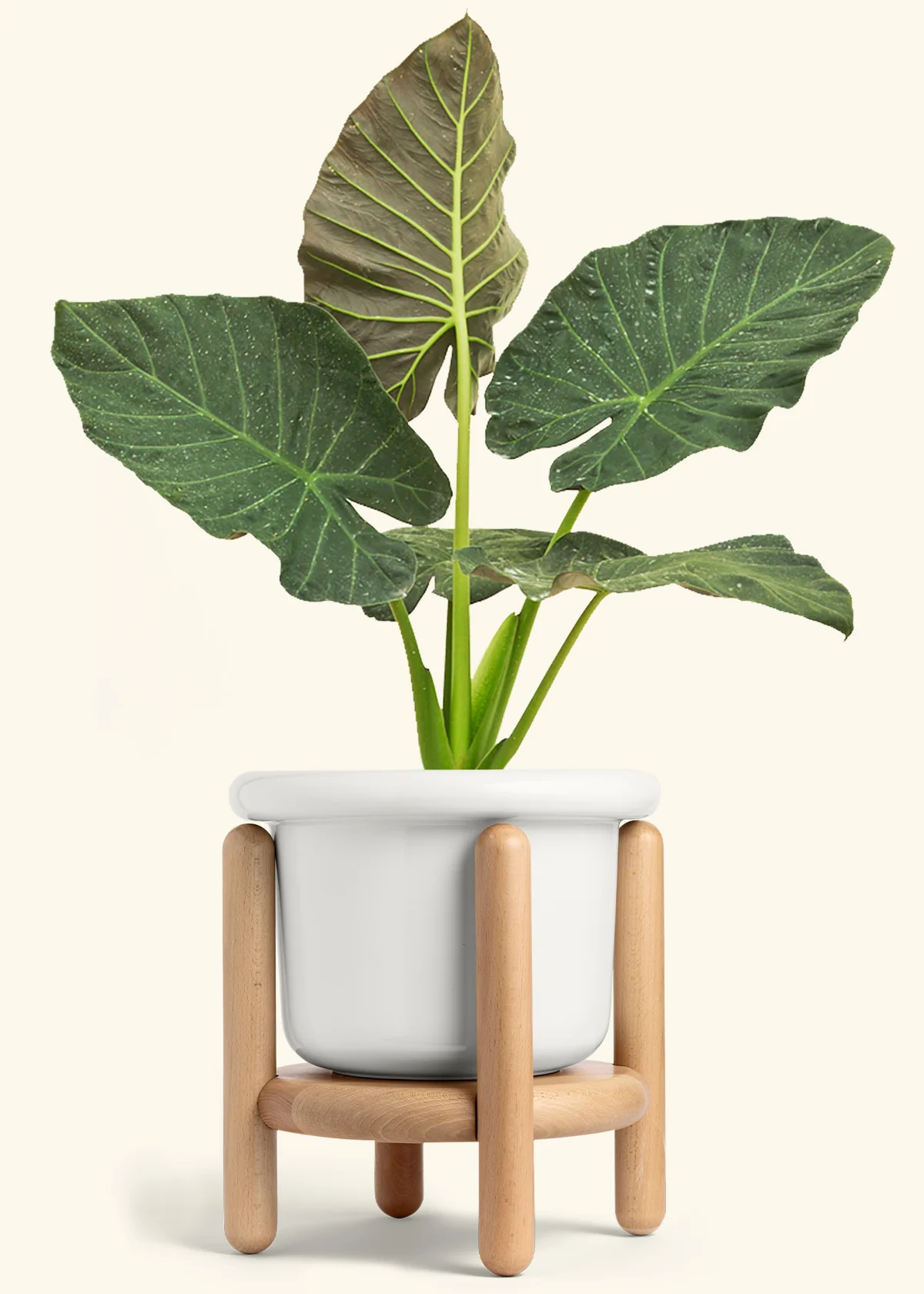 Product image 78