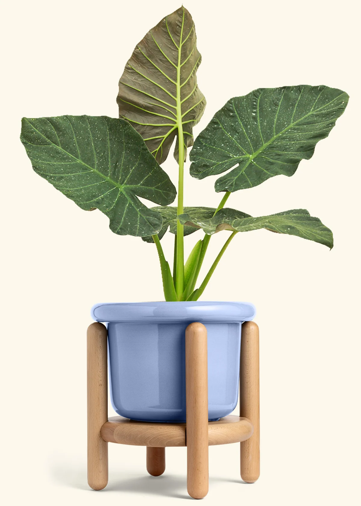 Product image 82