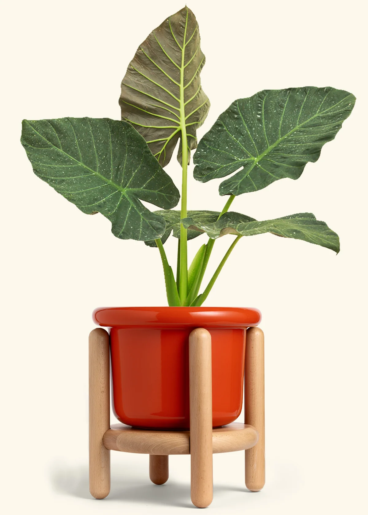 Product image 86