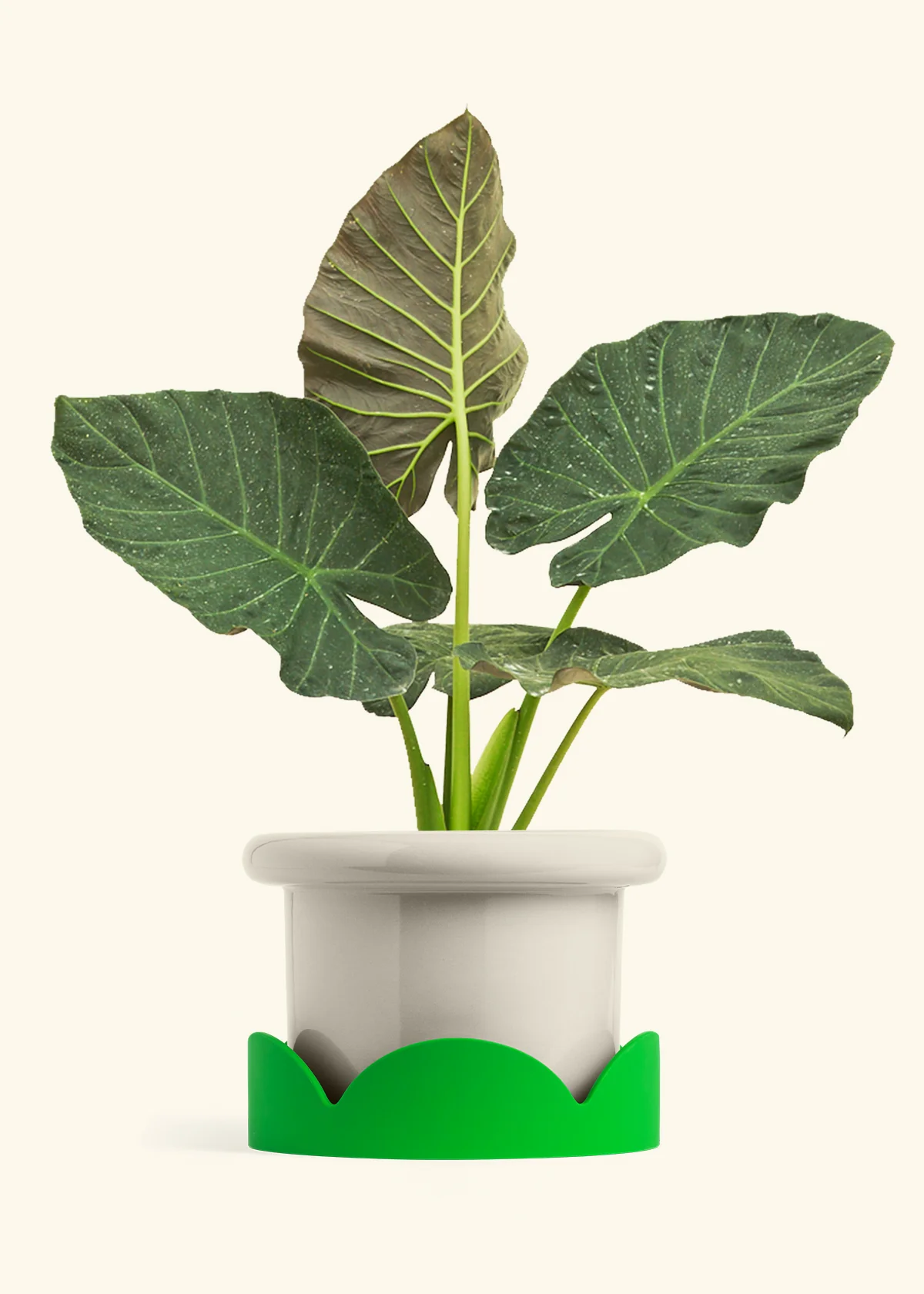 Product image 88