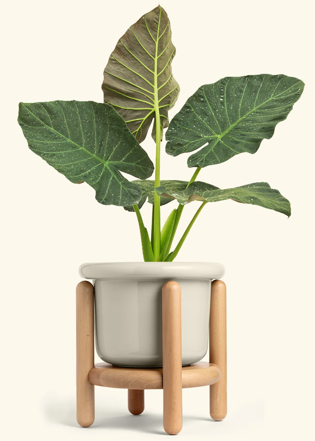 Product image 90