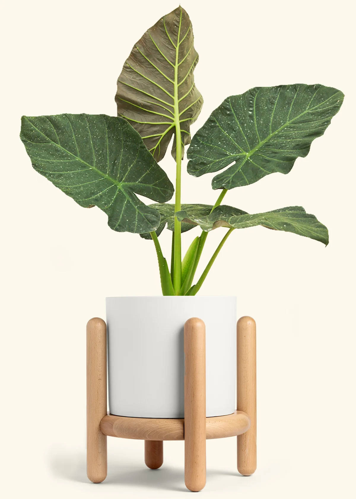 Product image 93