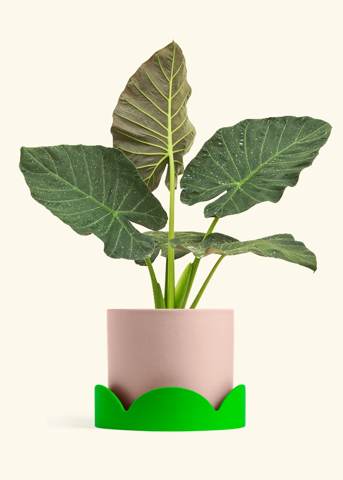 Product image 94