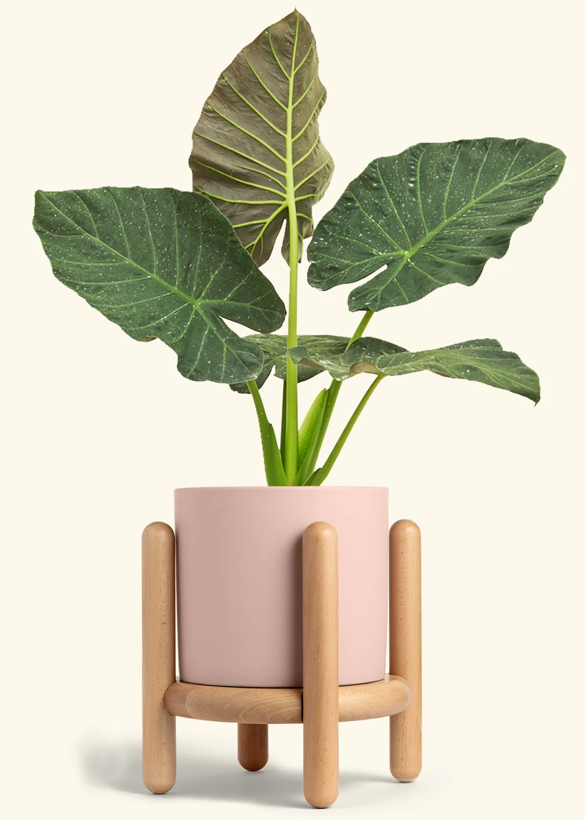 Product image 96