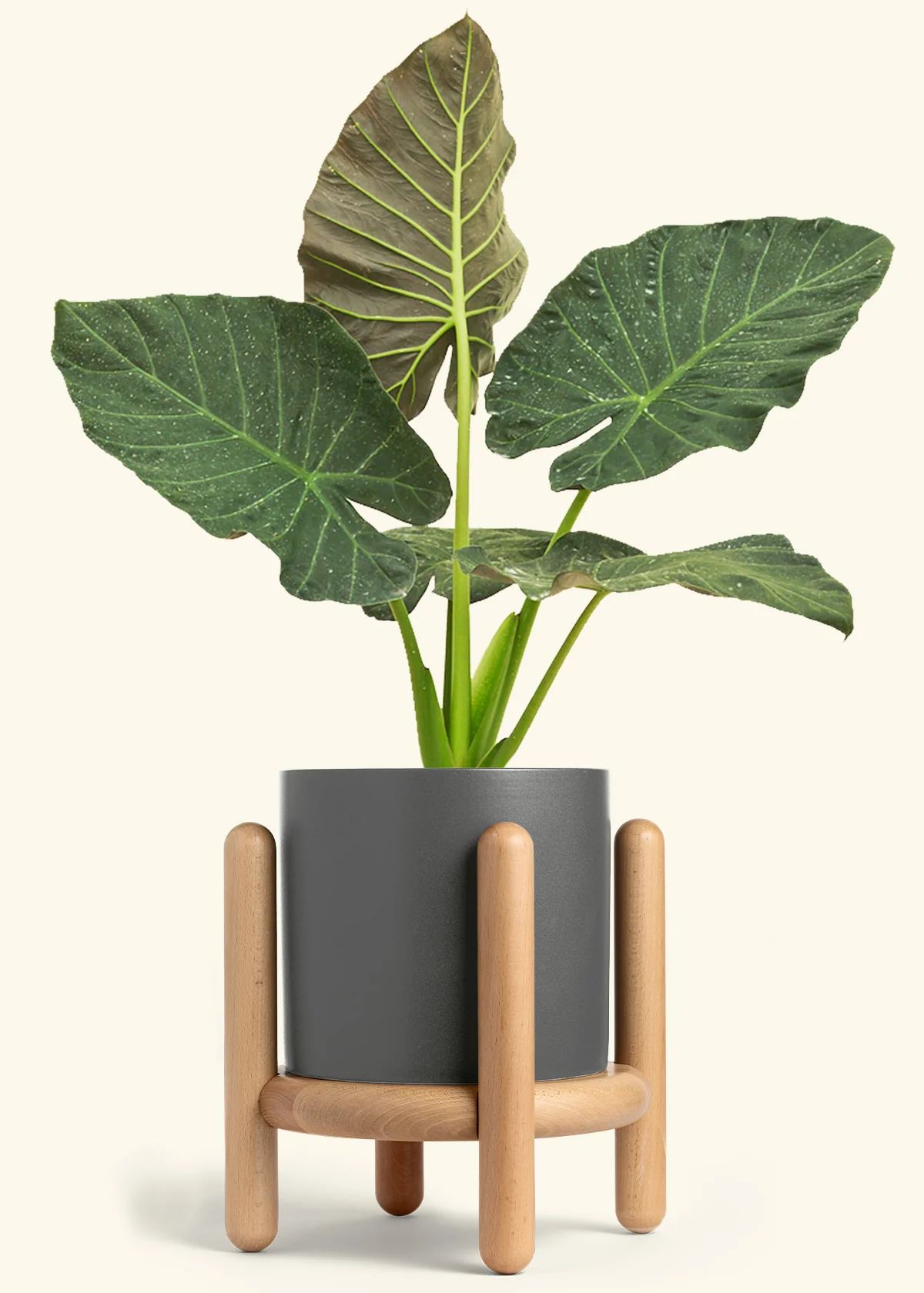 Product image 99