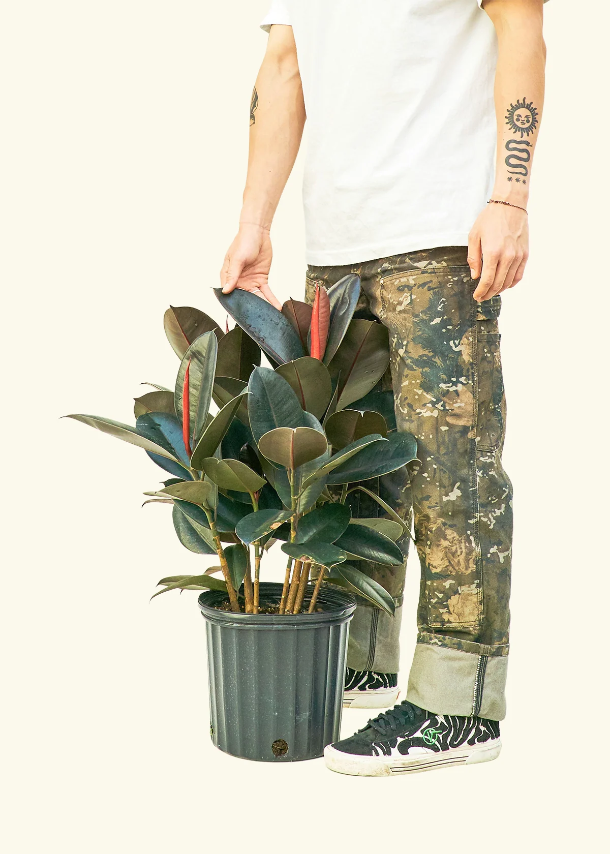 Product image 16