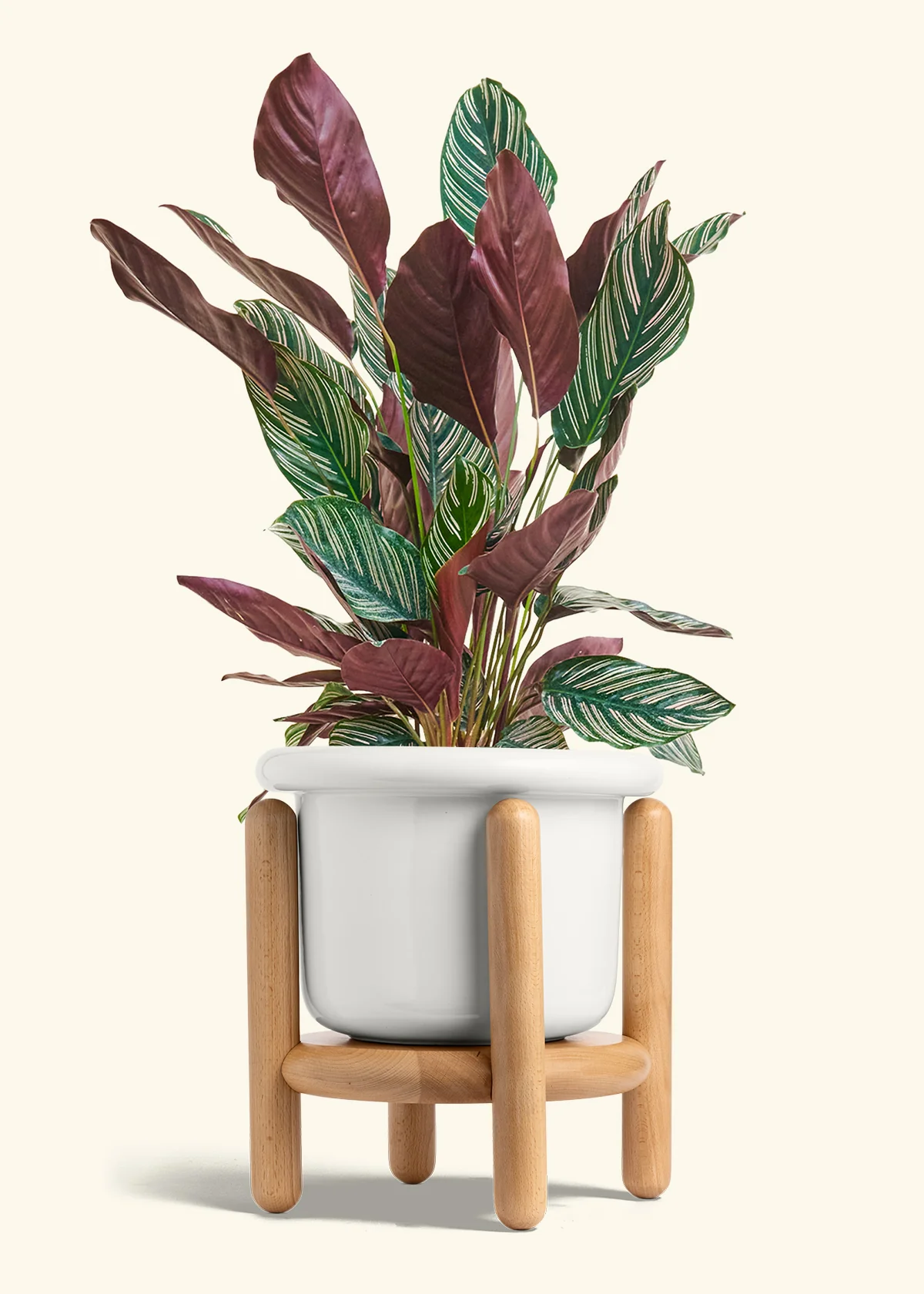Product image 57