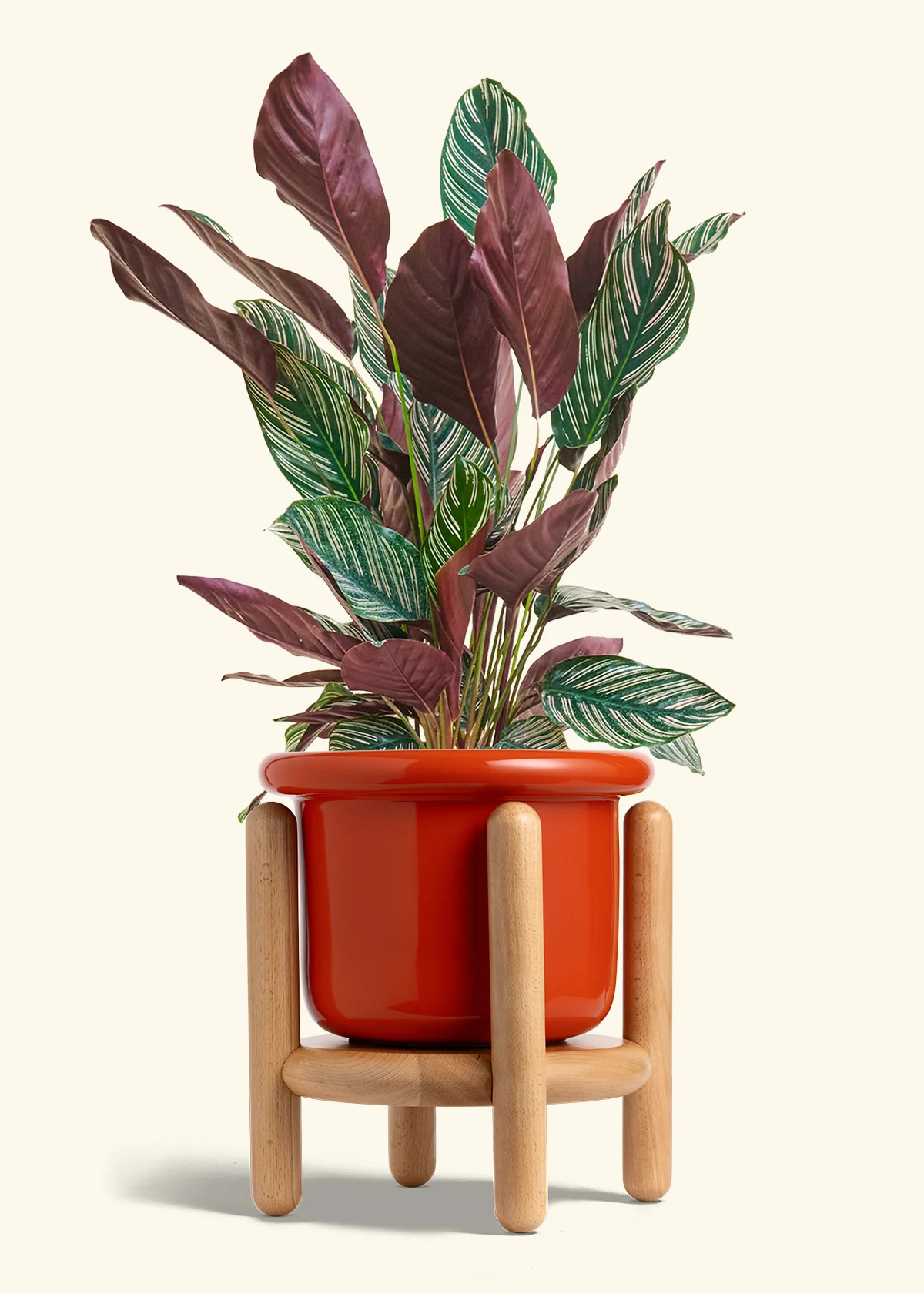Product image 65