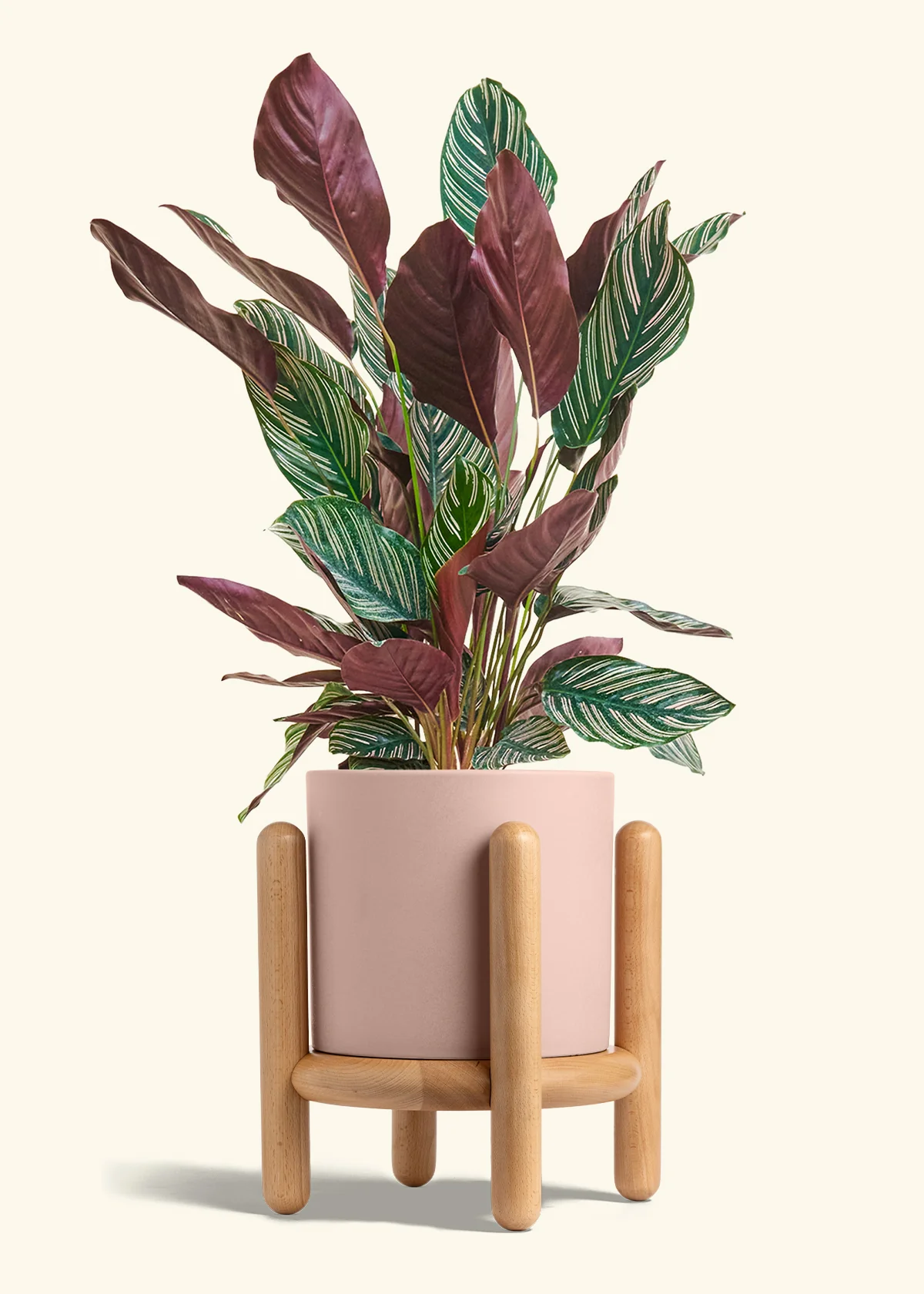 Product image 75