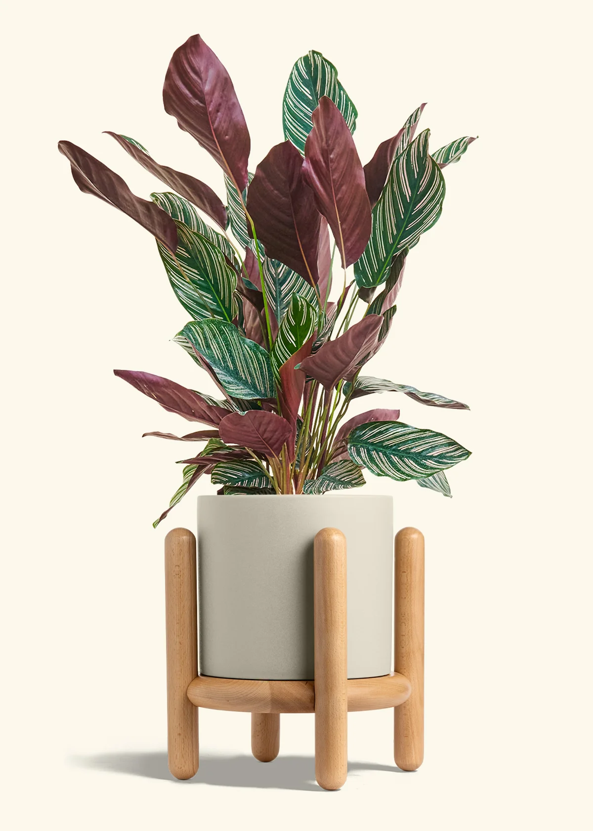 Product image 81