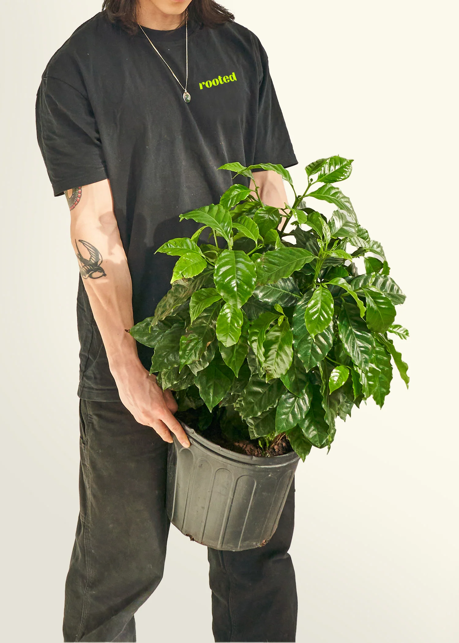 Product image 45