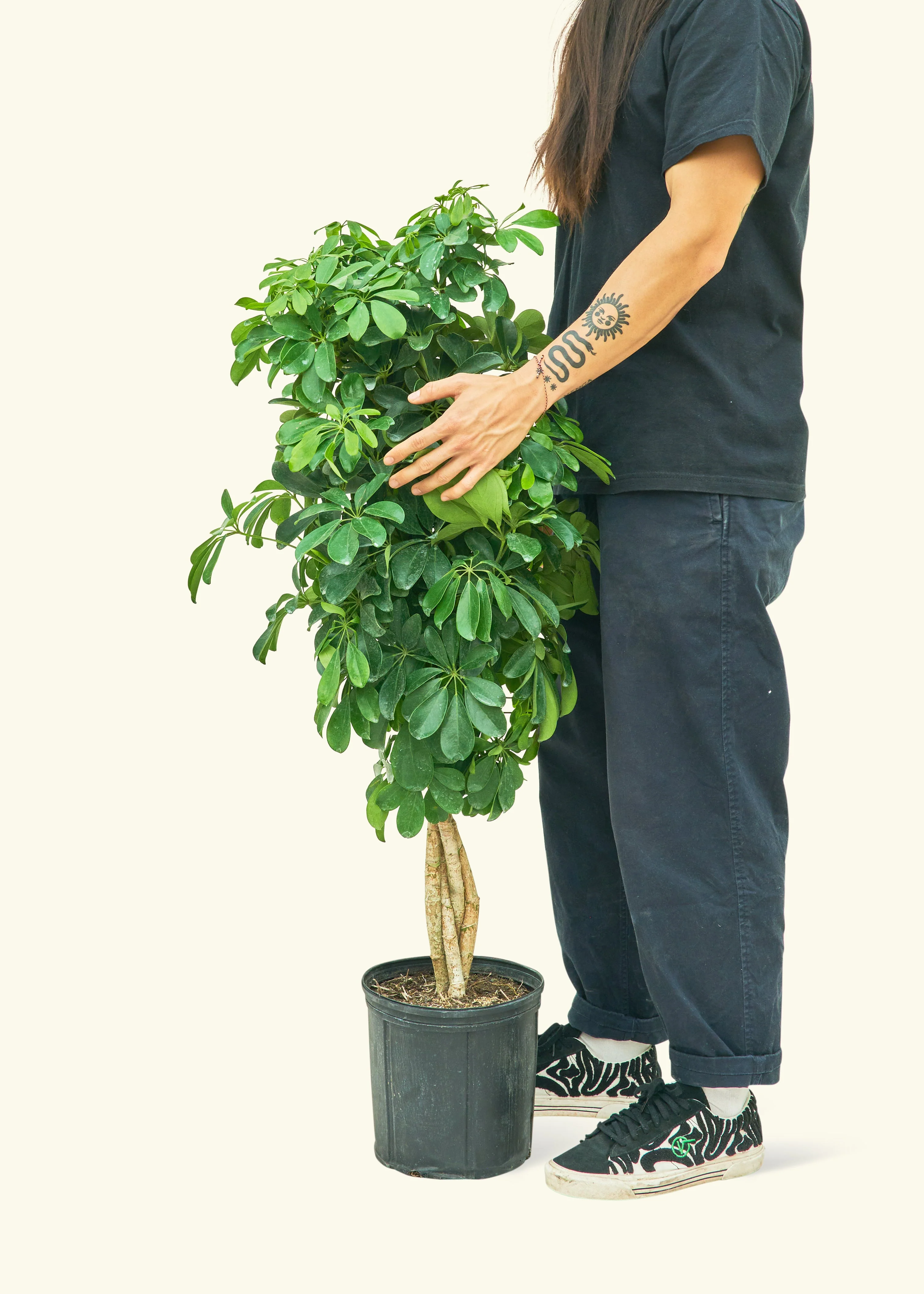 Product image 33