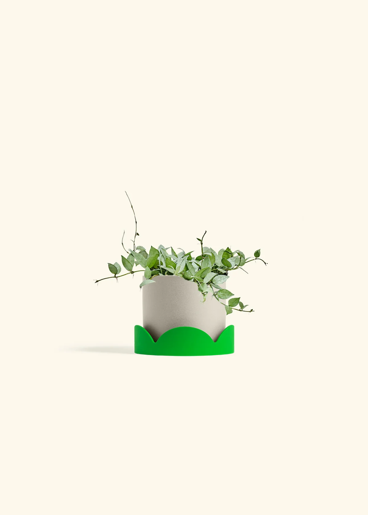 Product image 66