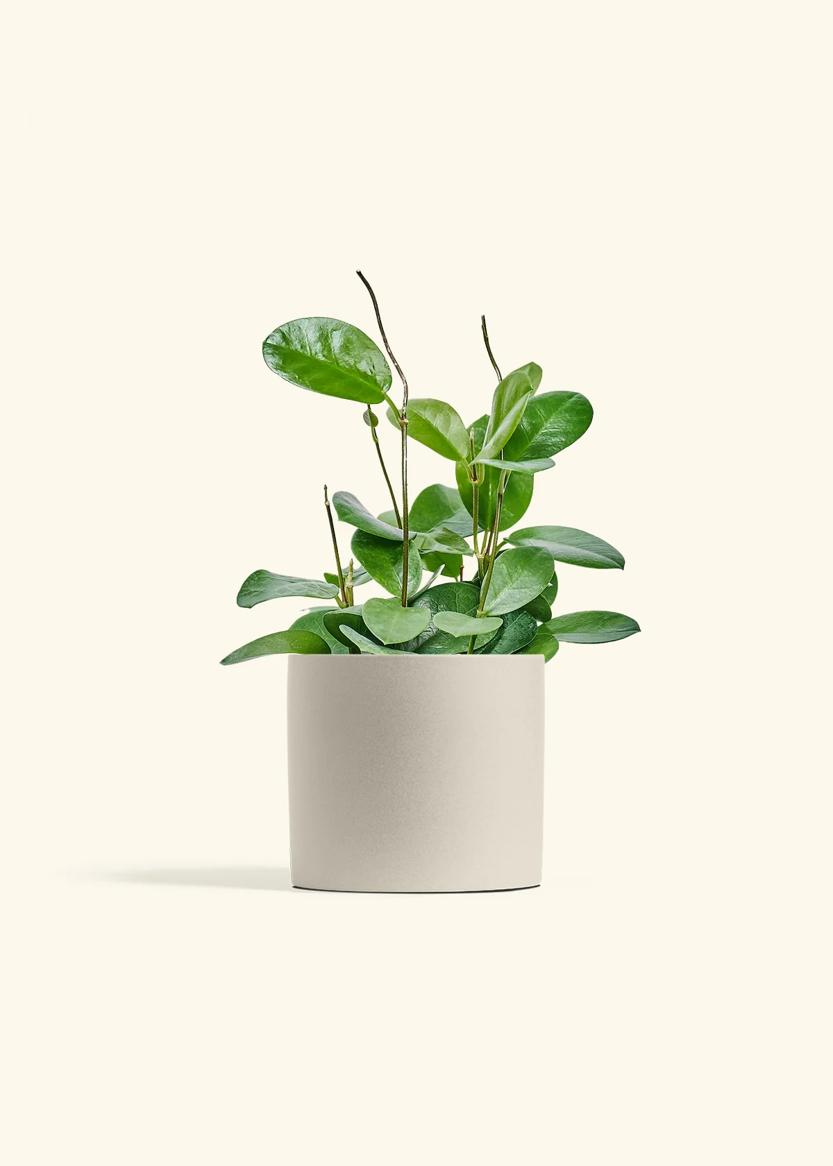 Product image 66