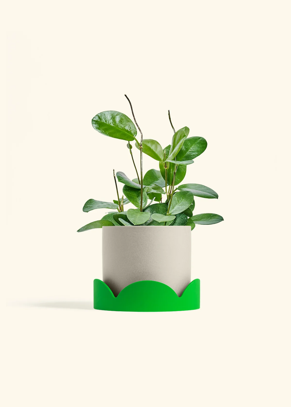 Product image 67