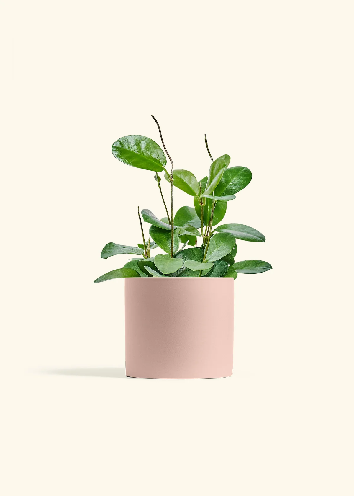 Product image 72