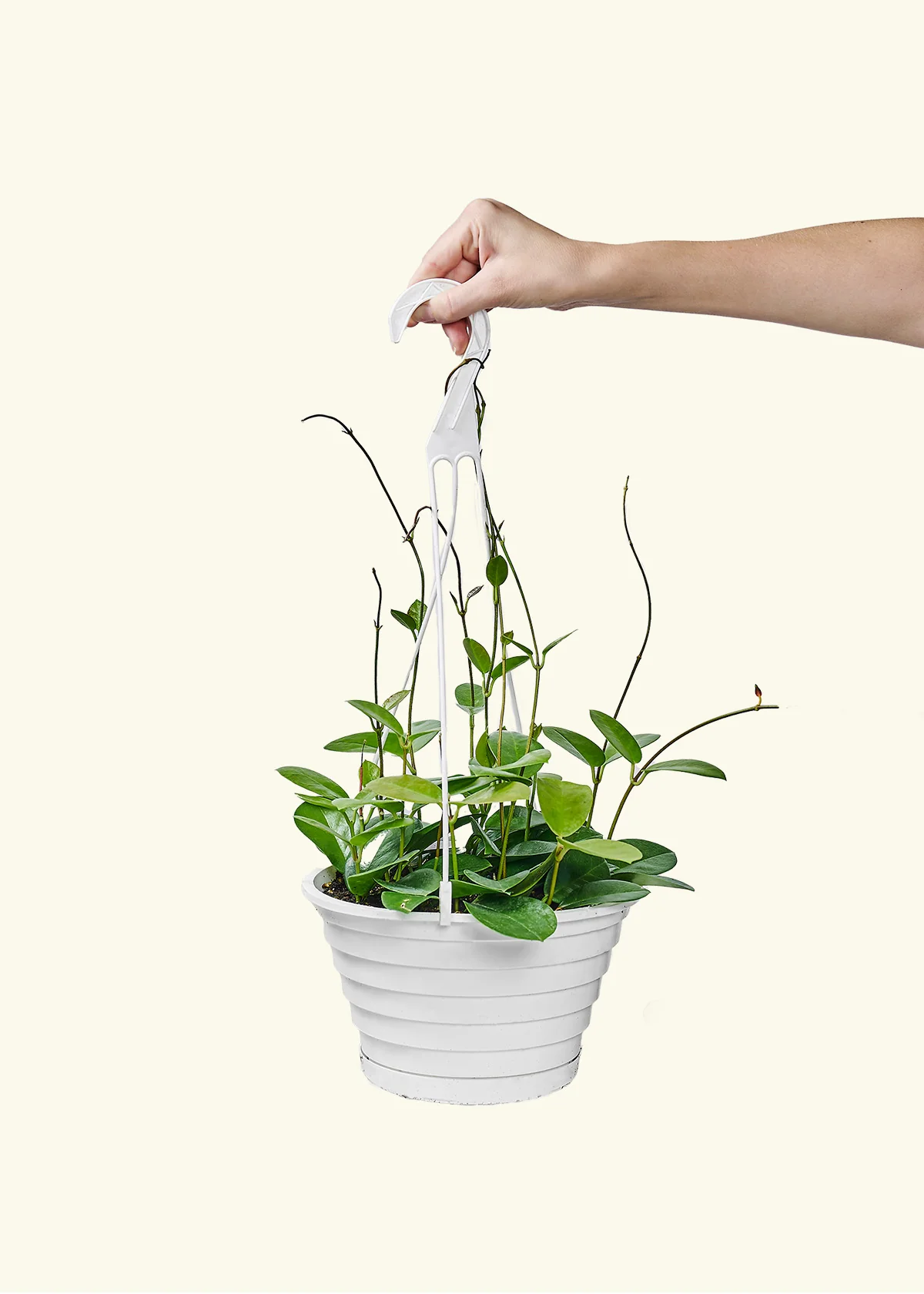 Product image 74