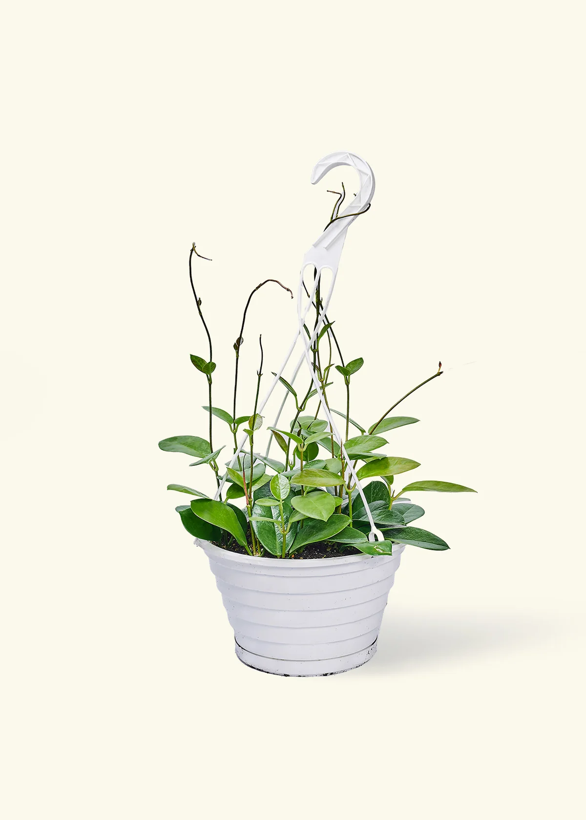 Product image 76