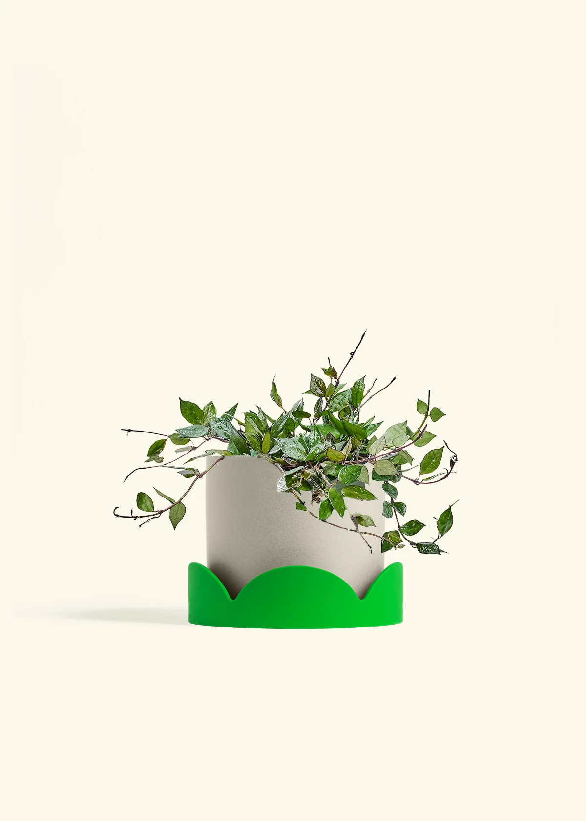 Product image 66