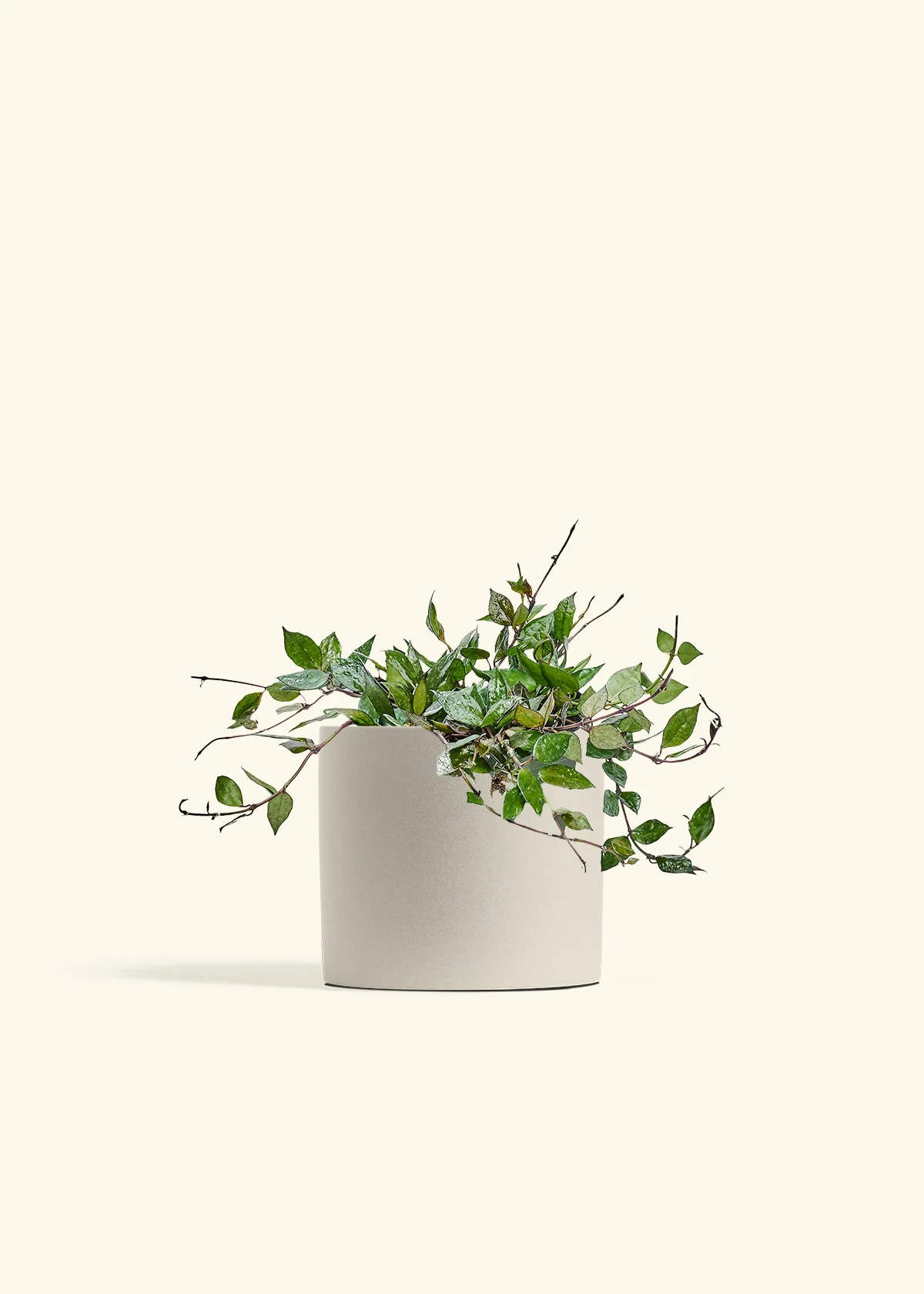 Product image 73
