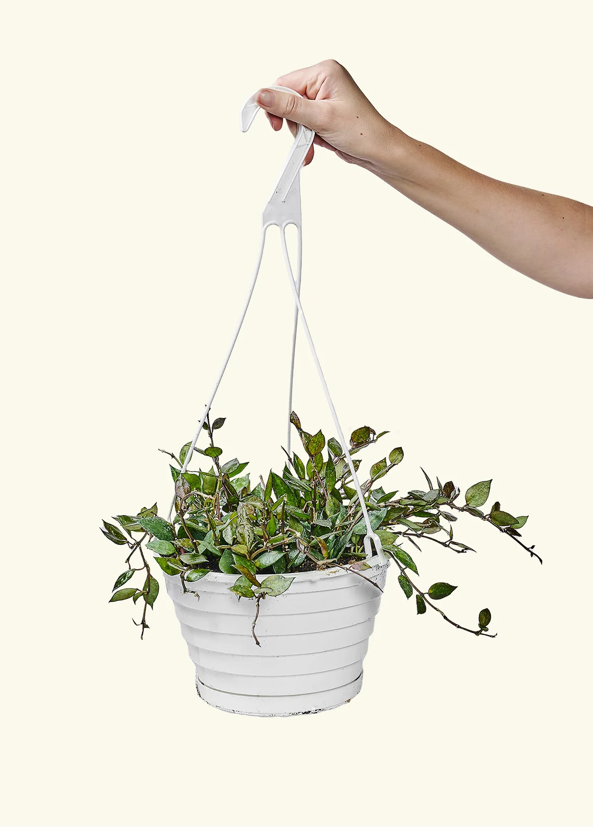 Product image 75