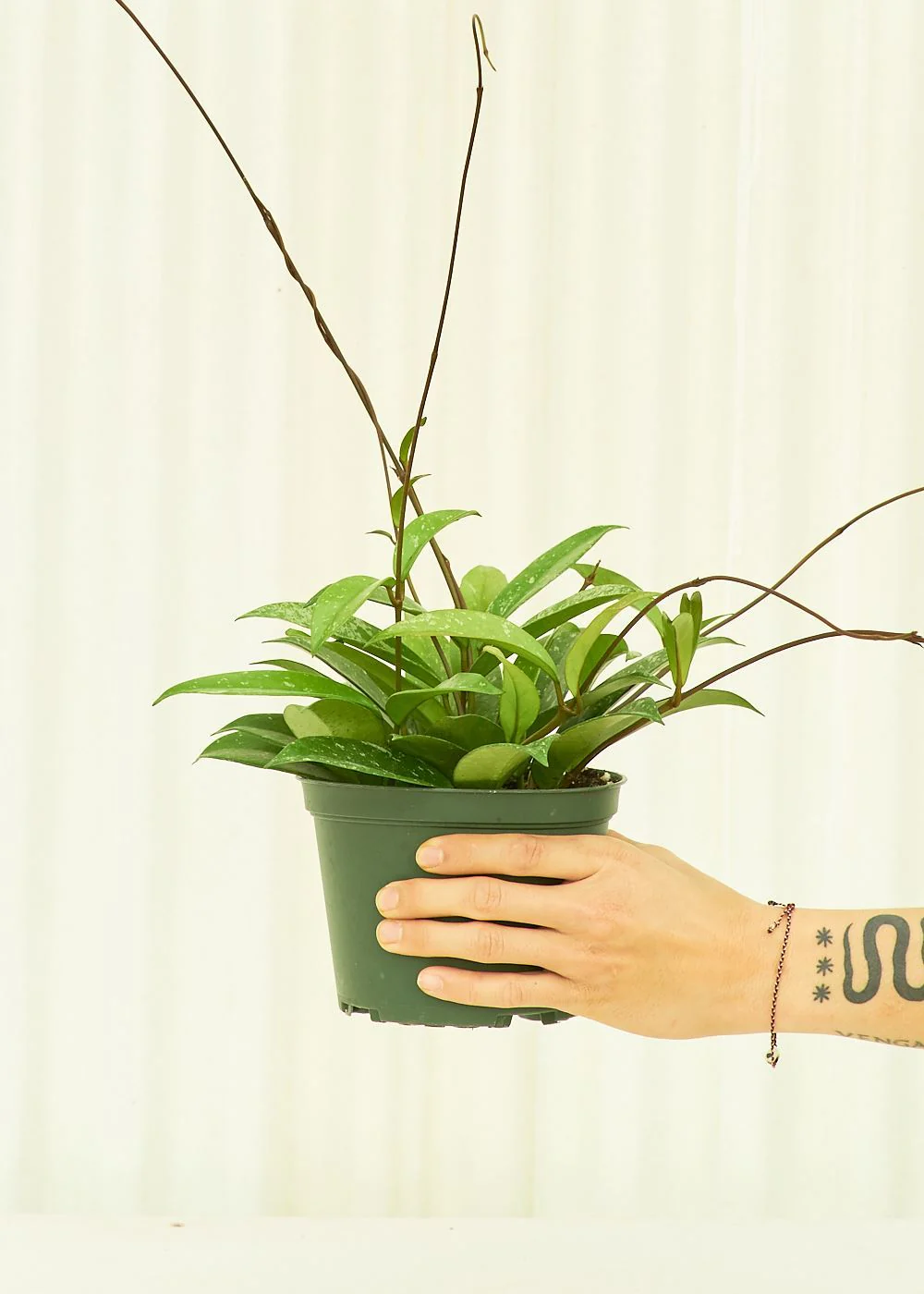 Product image 69