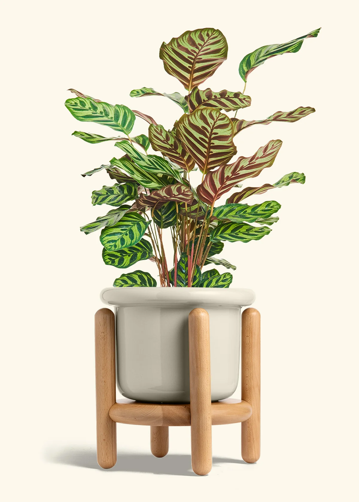 Product image 71