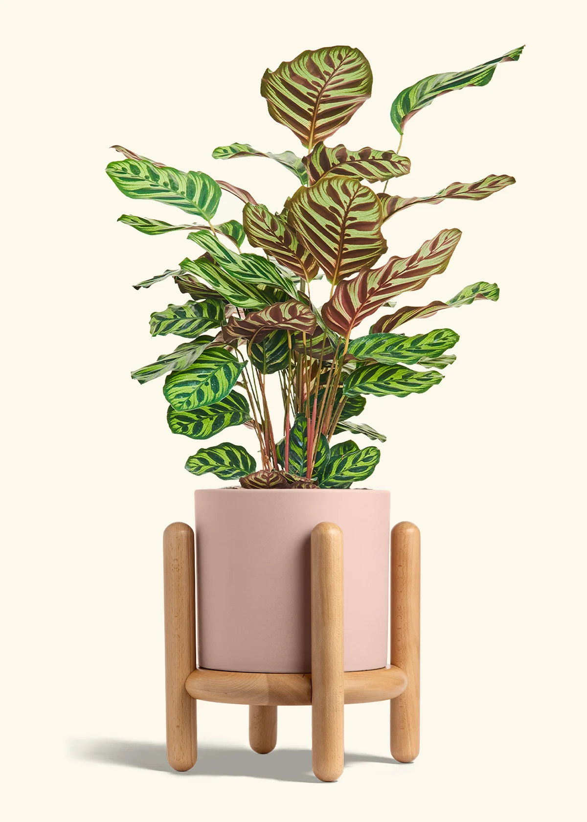 Product image 77