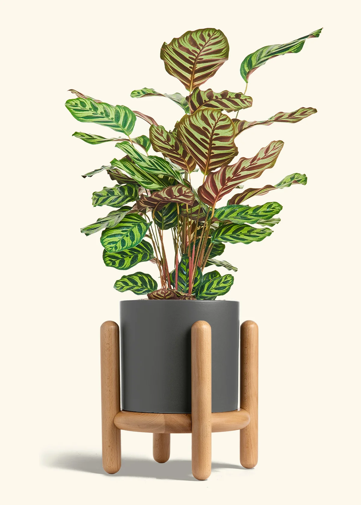 Product image 80