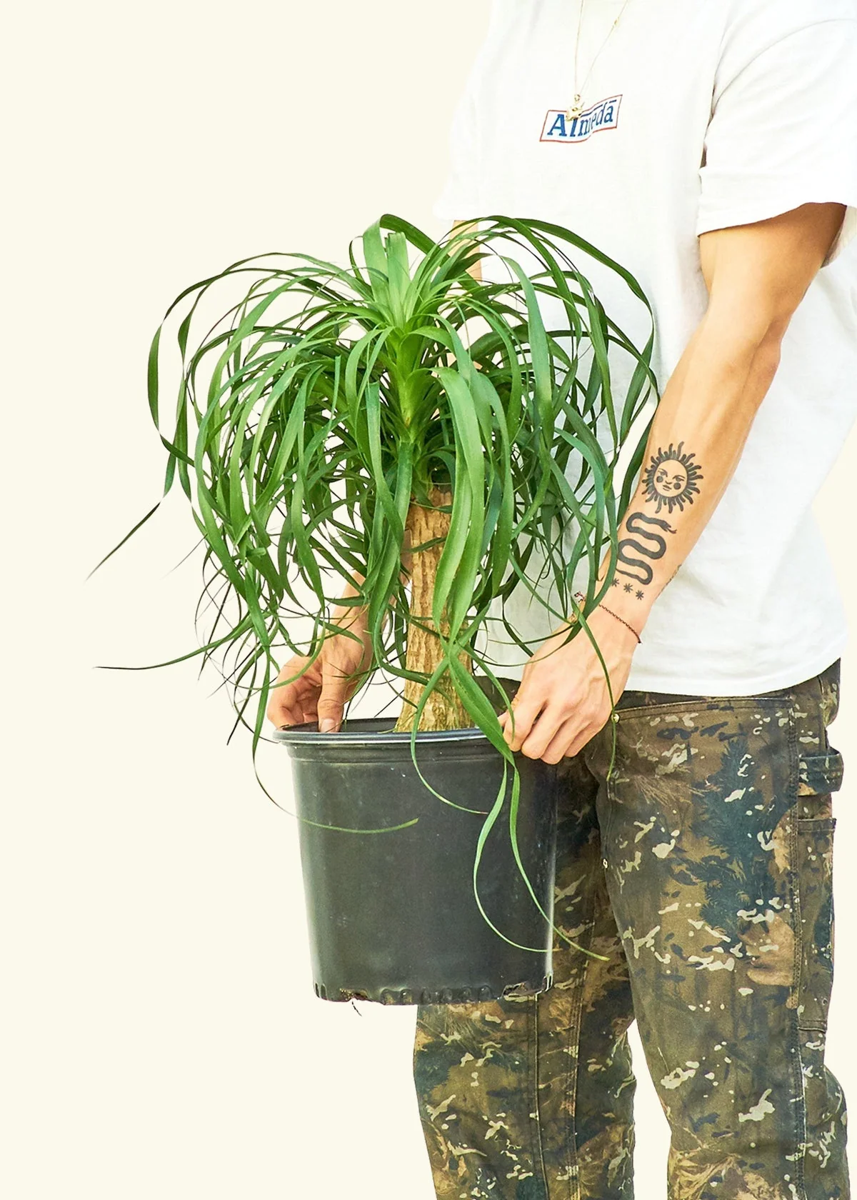Product image 47