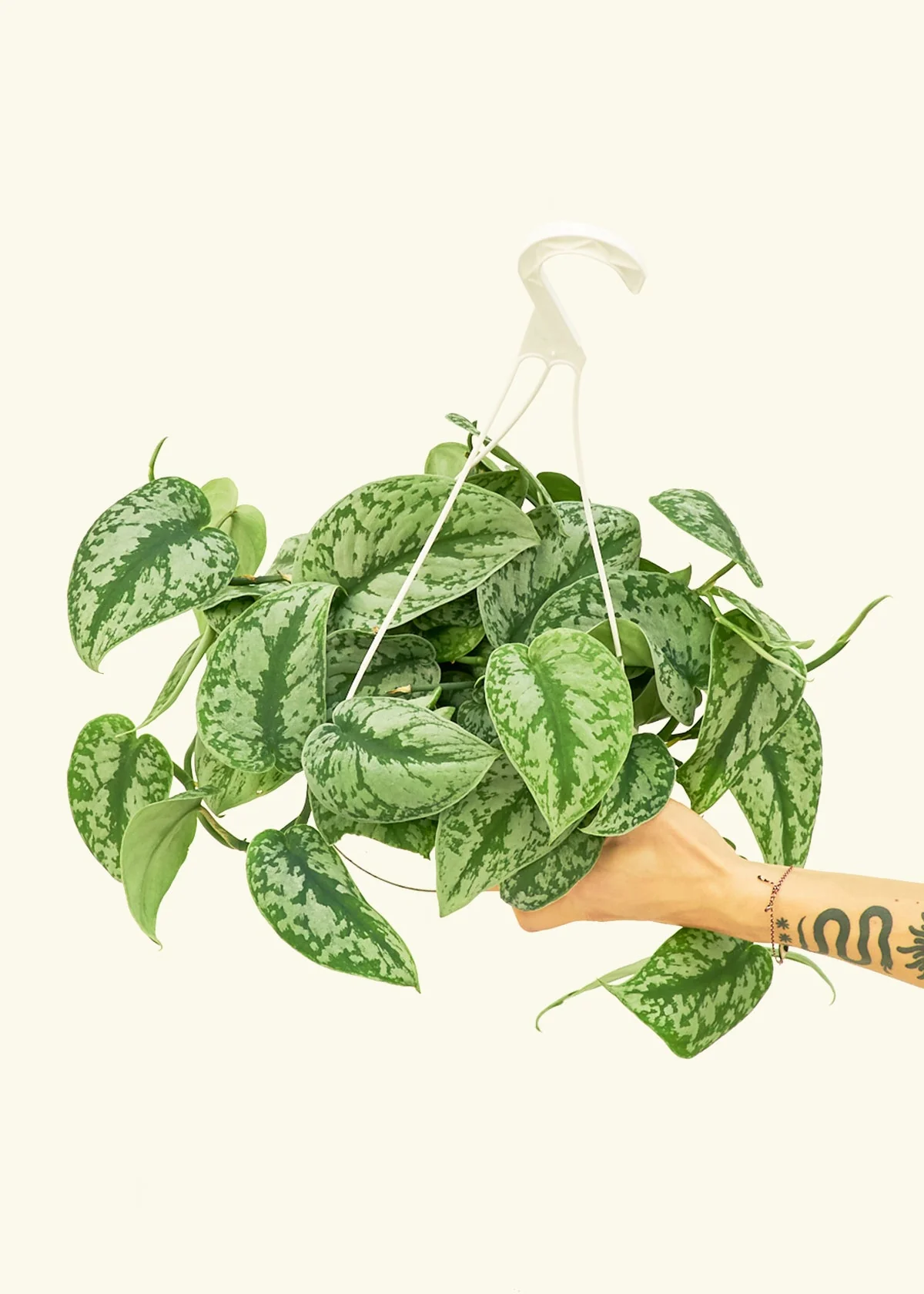 Product image 75