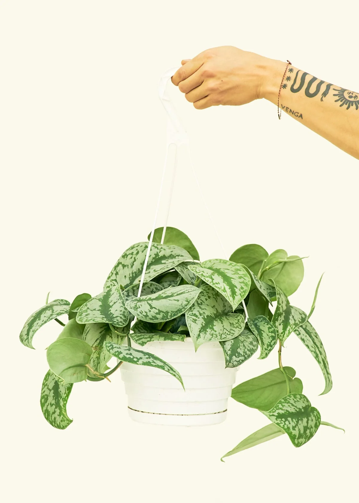 Product image 76
