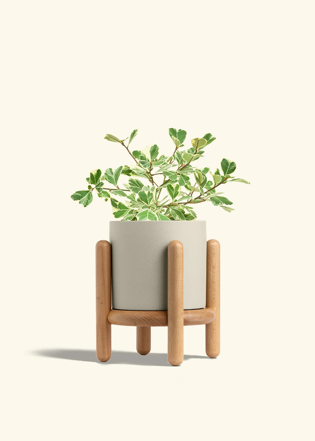Product image 68